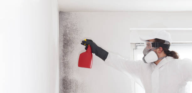 Best Crawl Space Mold Removal  in Fairfield, AL